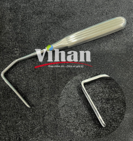 CÂY ĐƯA SỤN