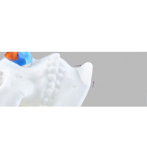 Công nghệ In 3D- FITME Korea 