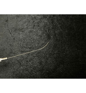 CÂY NHẤN MÍ PHẪU THUẬT